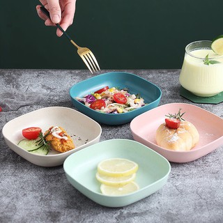 Set đĩa nhựa lúa mạch siêu rẻ