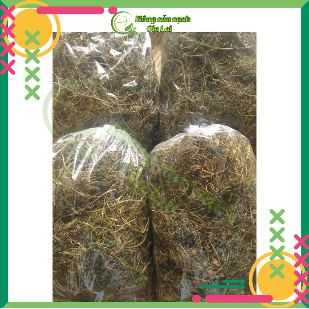 Cây khổ qua rừng hỗ trợ trị tiểu đường | BigBuy360 - bigbuy360.vn