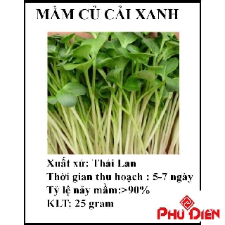 25 gr hạt giống rau mầm củ cải xanh  PHÚ ĐIỀN