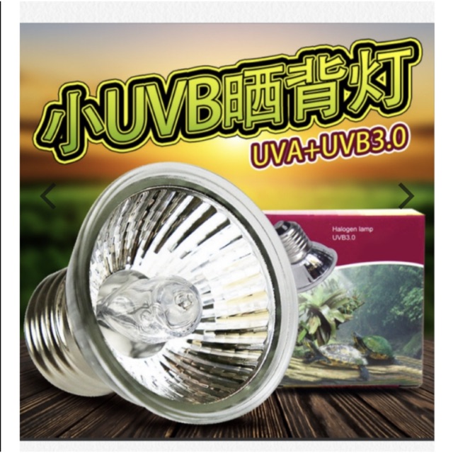 Bóng đèn sưởi uva uvb 3.0 cho rùa