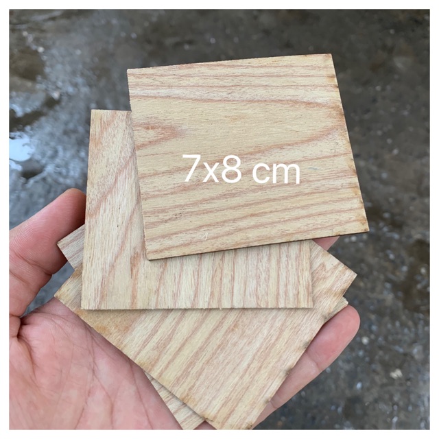 Tấm gỗ làm học liệu, đồ cho bé (100 miếng) thumbnail