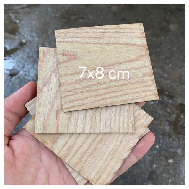 Tấm gỗ làm học liệu, đồ cho bé (100 miếng)
