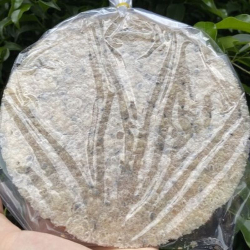 KẸO HẠT ĐIỀU MÈ BÁNH TRÁNG.