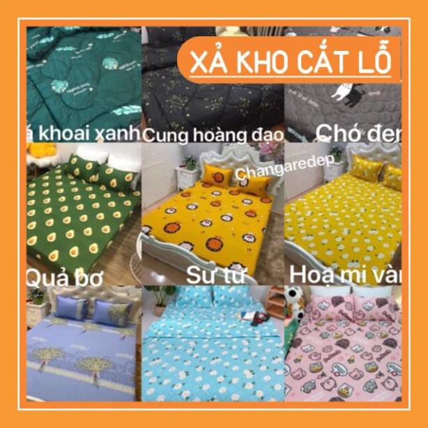 Free Ship50k Bộ 1 Ga chun và 2 vỏ gối Cotton poly, chat chọn mẫu.