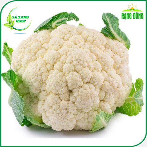 Hạt giống Bông Cải Trắng Lai F1 (Súp lơ trắng) (gói 0,5 gram)- Hạt giống Rạng Đông