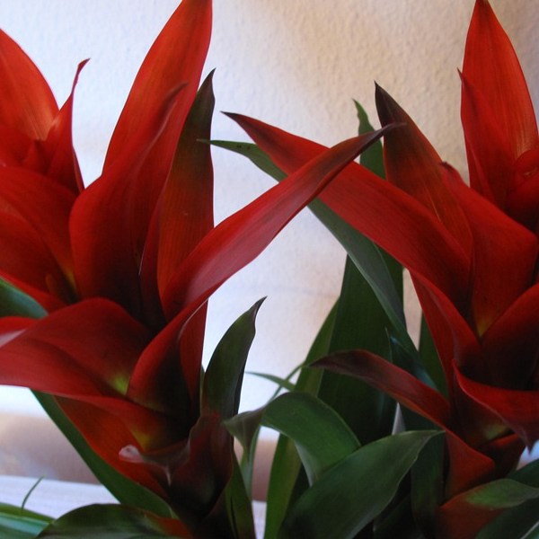 X-N shop, Cửa hàng trực tuyến | BigBuy360 - bigbuy360.vn