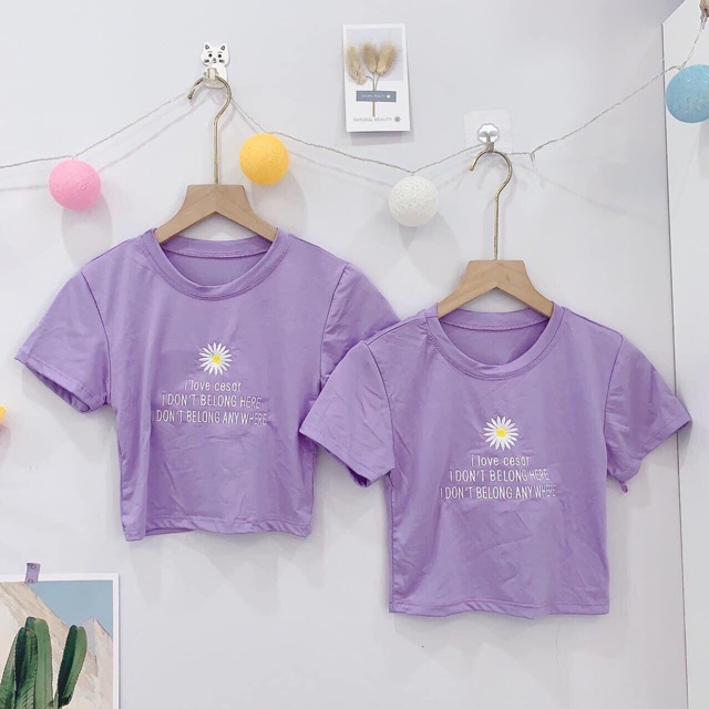 Áo croptop thun lụa thêu hoa cúc, áo thun ngắn tay tôn dáng - Colory Shop