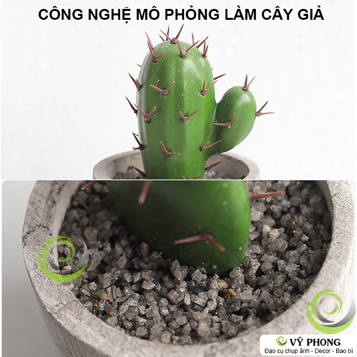 CÂY XƯƠNG RỒNG CHẬU SEN ĐÁ MÔ PHỎNG CHẬU XI MĂNG NORDIC BẮC ÂU TRANG TRÍ ĐẠO CỤ CHỤP ẢNH SẢN PHẨM INS DDC-219