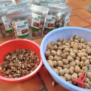 Quả óc chó mỹ Walnuts túi 500gr
