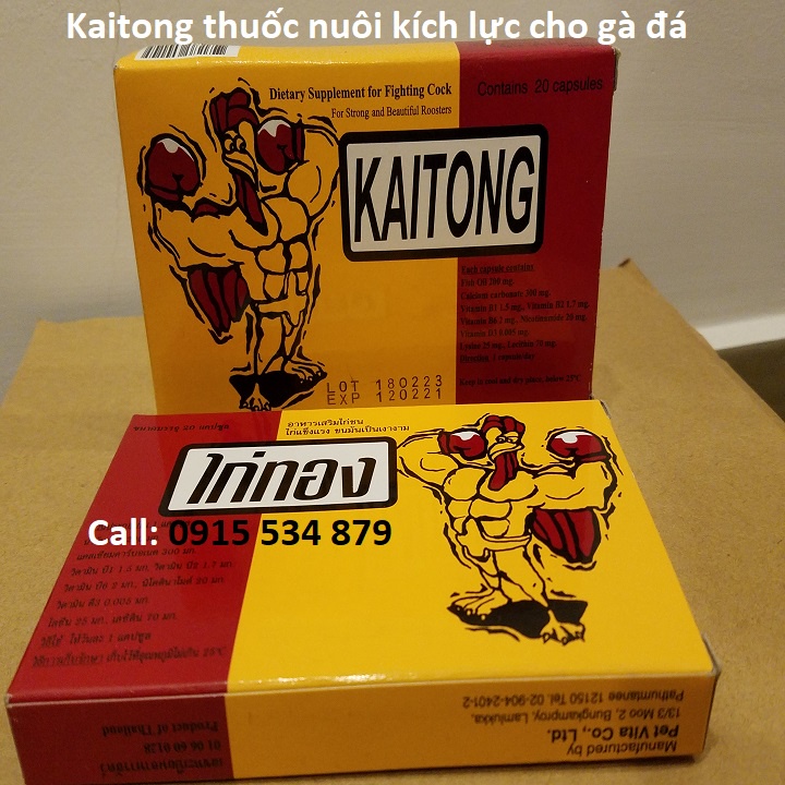 Sâm kaitong tăng bo cho gà kích lực tuần cuối