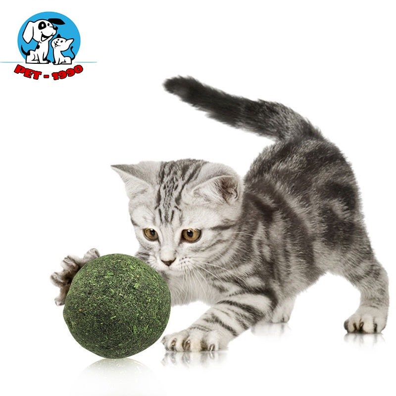 Viên Cỏ Bạc Hà Catnip Hình Viên Nén Tròn Làm Sạch Răng Miệng,Giúp Tiêu Búi Lông Kích Thích Hưng Phấn Cho Mèo