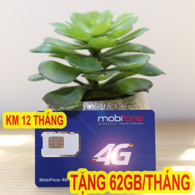 Sim 4G Mobi MDT250A - MDT120A - 62GB DATA TỐC ĐỘ CAO - MAXDATA - TRỌN GÓI 1 NĂM