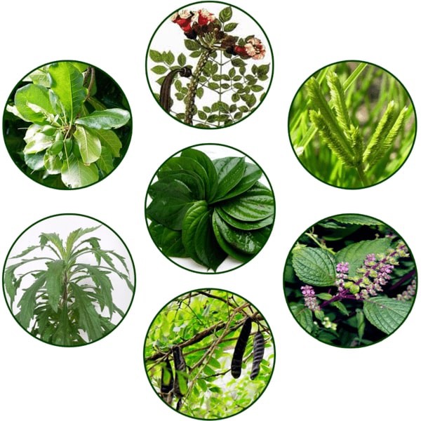 🍀🍀🍀Giảm ngứa,mẩn đỏ,gàu,rụng tóc🍀🍀🍀Dầu tắm gội dược liệu Diệp hồng Nhan | BigBuy360 - bigbuy360.vn