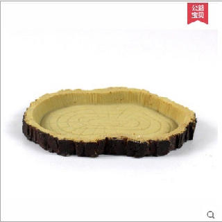 Khay đựng thức ăn cho rùa cạn