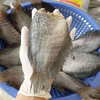 1kg khô cá sặc rằn không đầu, size lớn 9-10 con 1kg