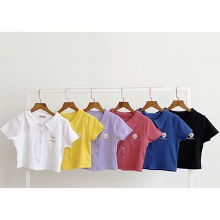 [HÌNH THẬT] ÁO THUN CROPTOP ÔM BODY NGẮN - ÁO KIỂU CRT GÂN ULZANG NGẮN TAY CỔ BẺ PETER GÀI NÚT THÊU HOA CÚC 74