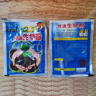 Kích rễ cây nảy mầm