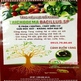 Bán NẤM ĐỐI KHÁNG TRICHODERMA-BACILLUS.SP GÓI 1KG chất lượng.