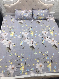 Ga chun 2 vỏ gối nằm poly cotton