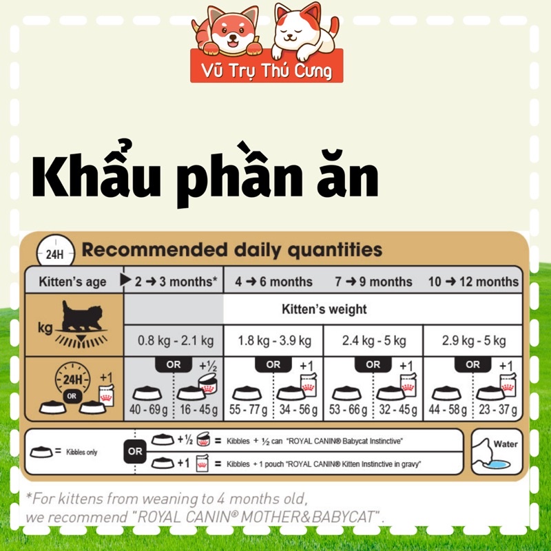 Hạt cho Mèo Ba Tư Royal Canin Persian Kitten 400g