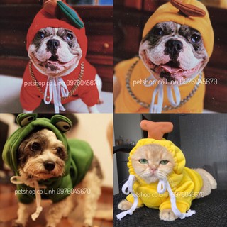 áo nỉ cho chó mèo hình trái cây có mũ