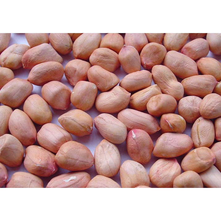 1kg đậu phộng (đậu sạch nhà trồng)