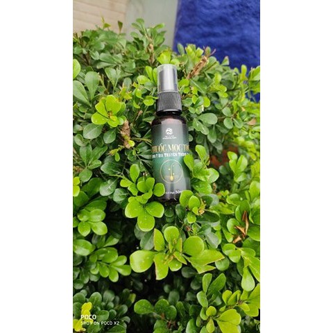 Xịt mọc tóc-ngăn gãy rụng tóc Thuốc mọc tóc đông y gia truyền Thông Cát giúp tóc mọc nhanh hiệu quả trong vòng 2 tuần | BigBuy360 - bigbuy360.vn