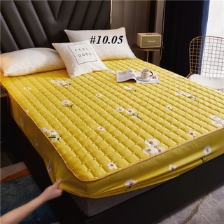 Ga trải giường chun trần bông