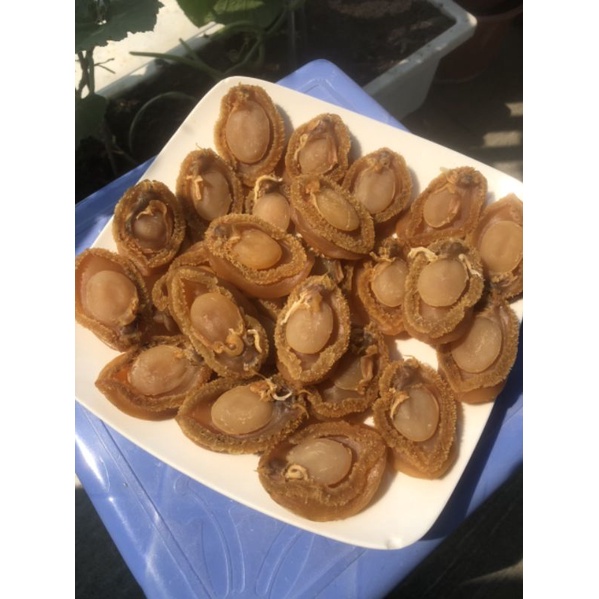 Bào Ngư size khủng