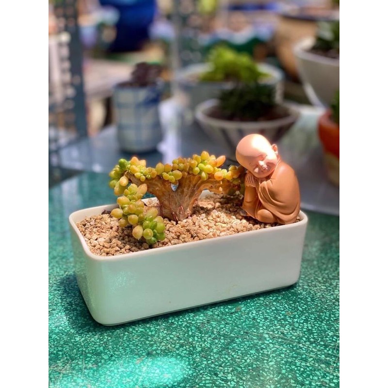 Tượng chú tiểu an nhiên | BigBuy360 - bigbuy360.vn