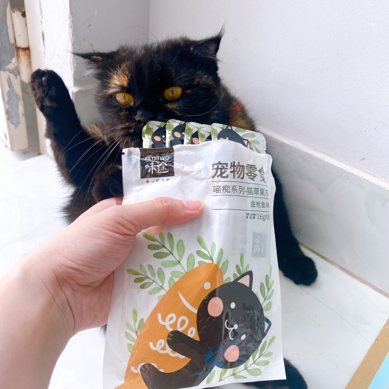 Soup Cỏ Mèo vị Cá ngừ gói 16gr PETSTWO tiêu lông
