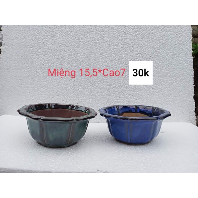 Chậu Bát Loe Hoả Biến Side M15,5*H7
