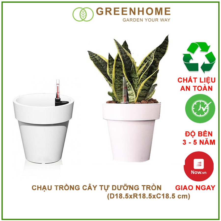 Chậu trồng cây tự tưới,  R18,5xC18,5cm, tròn sơn trắng, siêu nhẹ, thẩm mỹ, độ bền cao |Greenhome