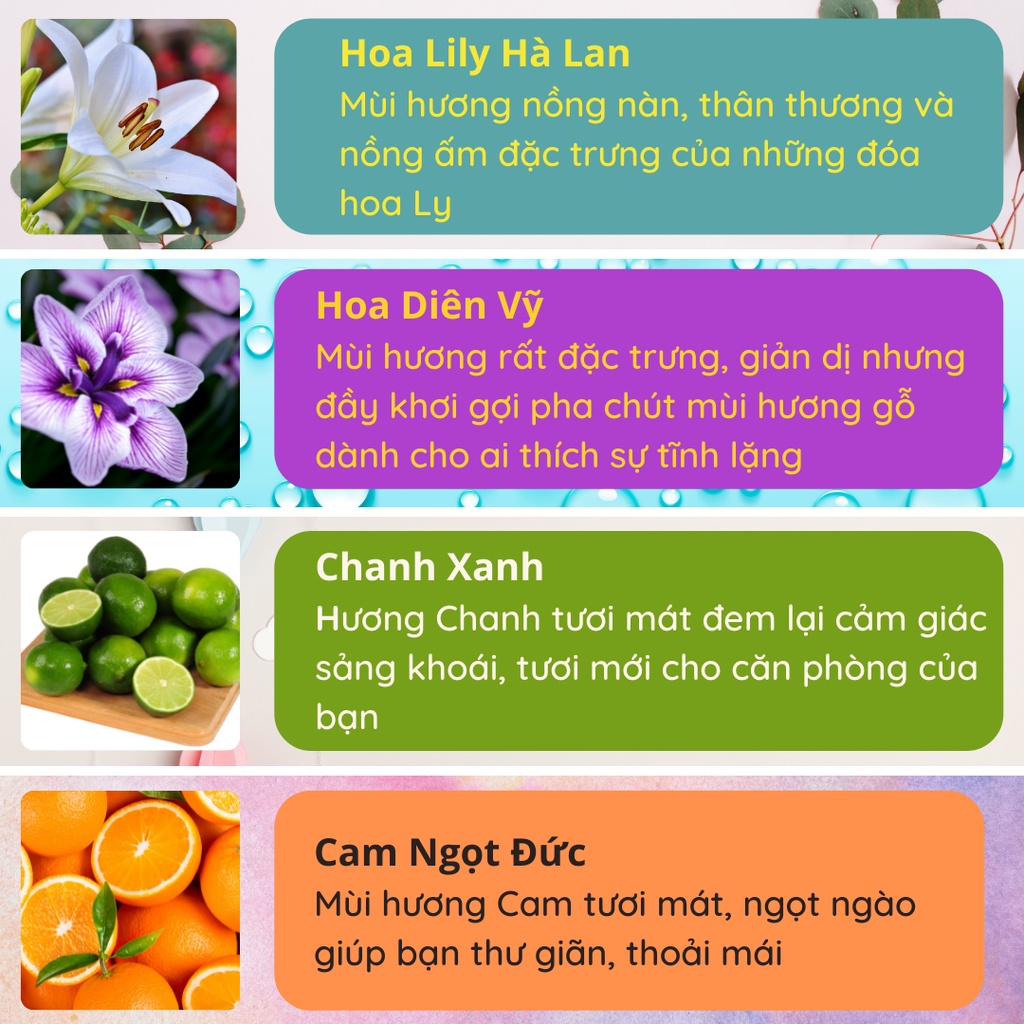 Tinh Dầu Thơm Phòng WIACHNN Lọ Khuếch Tán Nước Hoa Thơm Phòng Ngủ Que Gỗ Tán Hương Sang Trọng KT02