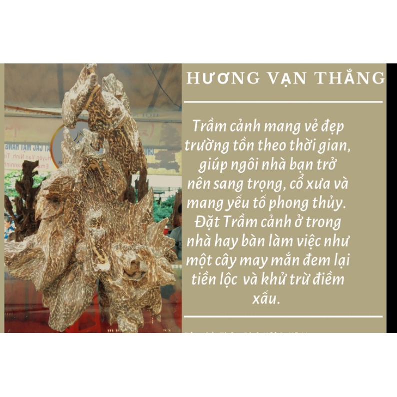 Trầm hương Khánh Hòa - Nhang trầm hương cao cấp làm quà tặng có hộp