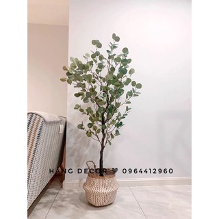 Cây bạch đàn 165cm - cây giả decor