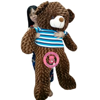 Gấu Teddy 1m4 (theo khổ vải trước khi nhồi gòn)