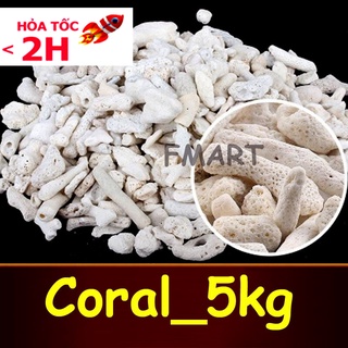 SAN HÔ ( 5KG ) loại đẹp, vật liệu lọc,trang trí bể cá, tăng độ PH giúp cá lớn phát triển mạnh, lớn nhanh ( Màu trắng)
