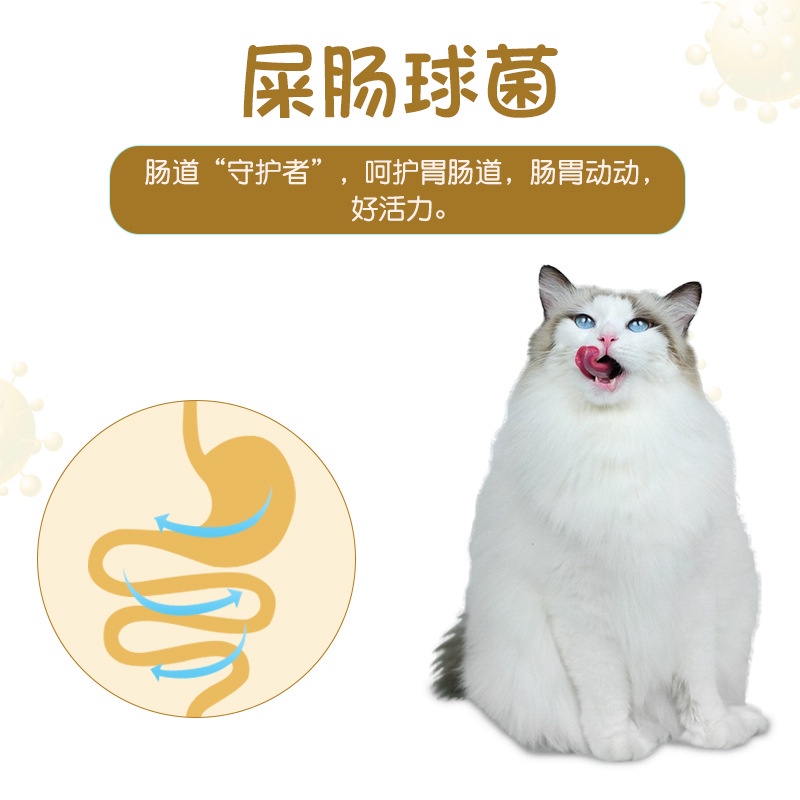 Viên Pudding Thạch Sữa Dê BOTH Thức Ăn Bổ Sung Canxi Cho Mèo Con Mèo Lớn - iPet Shop