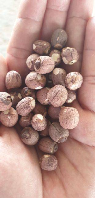 Hạt sen rang ăn liền