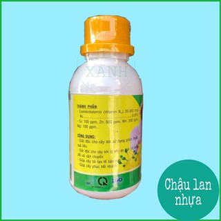 B12 giải độc cho cây