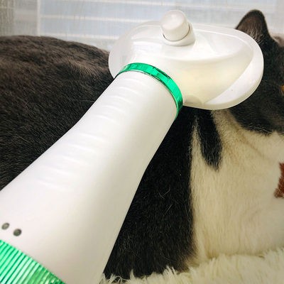 Vật nuôi thổi khô lông một chiếc lược Mèo Điện Máy sấy tóc tắm tạo tác mèo chó thổi tóc khô nhanh khô tắt tiếng