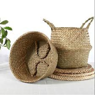 Giỏ cói đựng đồ, trồng cây các cỡ