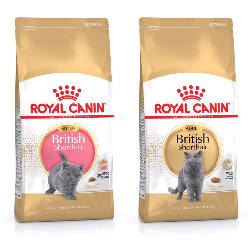 Thức Ăn Hạt Khô Royal Canin British ShortHair Adult& Kitten