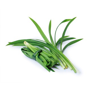 Combo lá dứa giống tươi xanh - dứa thơm - nếp thơm - cây cơm nếp giá rẻ