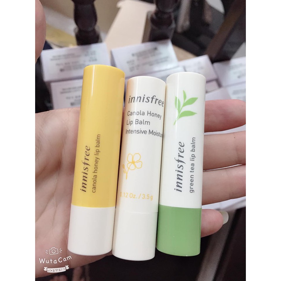 Son Dưỡng Môi Innisfree Canola Honey Lip Balm (bản mới 2019) | WebRaoVat - webraovat.net.vn