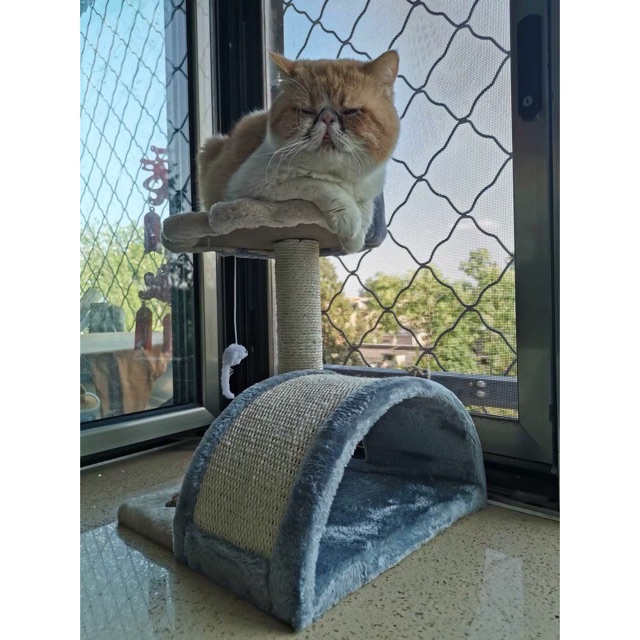 NHÀ CÂY CHO MÈO hay còn gọi là CAT TREE, một phụ kiện đồ chơi không thể thiếu cho mèo