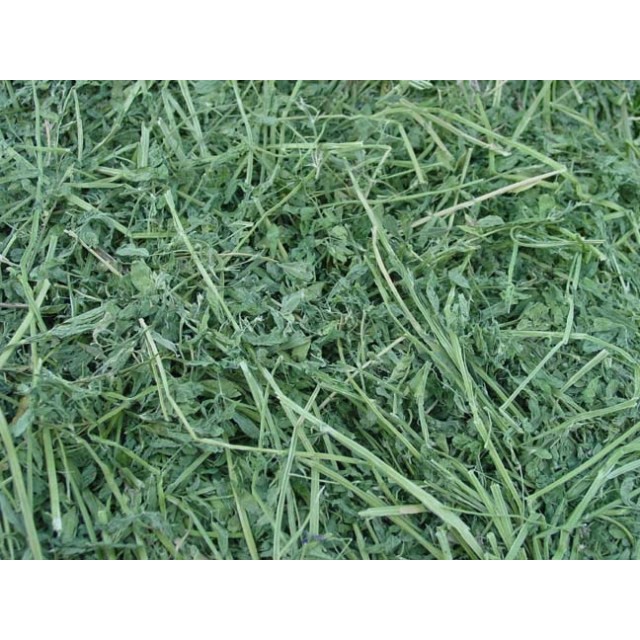 1kg cỏ alfalfa giàu dinh dưỡng cho thỏ-bọ ú- guinea pig