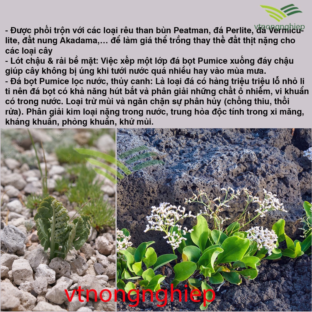 Đá Pumice Indonesia Premium, gói 500g, Size 1-2cm, 5-8mm, 3-6mm, trộn đất trồng sen đá, xương rồng, hoa hồng, kiểng lá