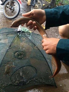 Lưới Đánh Bắt Cá Bát quái 8 Cửa
